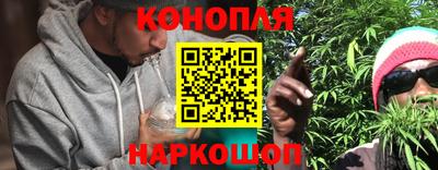 дживик Бийск
