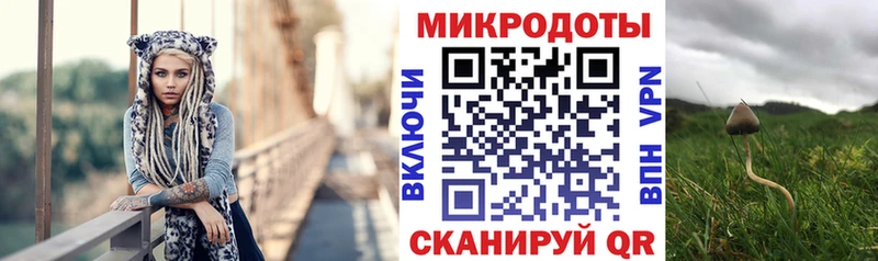 Псилоцибиновые грибы Psilocybine cubensis  где найти   Владимир 