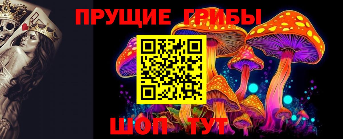 Псилоцибиновые грибы Magic Shrooms  Владимир  Галлюциногенные грибы ЛСД 