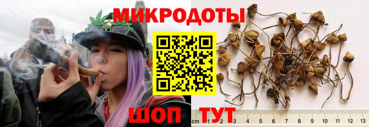 Галлюциногенные грибы мицелий Владимир