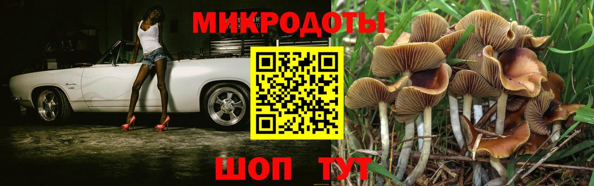 Псилоцибиновые грибы GOLDEN TEACHER Владимир