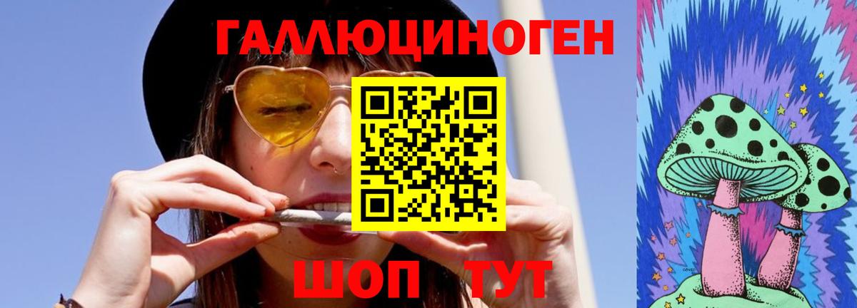 Владимир  Псилоцибиновые грибы Psilocybe  закладки  Вход с VPN 